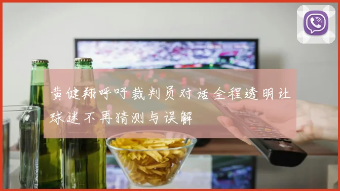 黄健翔呼吁裁判员对话全程透明让球迷不再猜测与误解