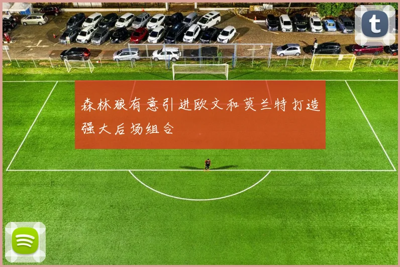 森林狼有意引进欧文和莫兰特打造强大后场组合